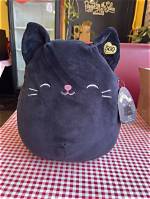 The Rarest Squishmallow