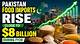 The Rise of Masa49. Com Pakistan: a Digital Revolution