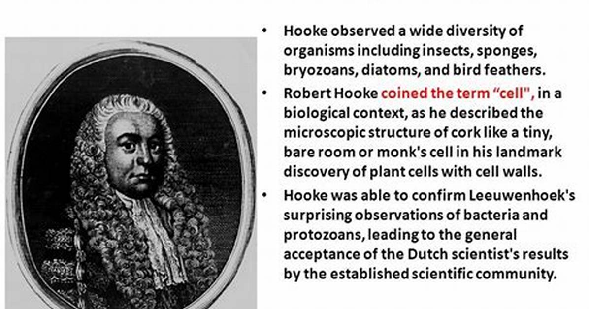 The Scientist Who First Described Living Cells as Seen Through a Simple Microscope Was