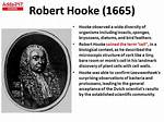 The Scientist Who First Described Living Cells as Seen Through a Simple Microscope Was