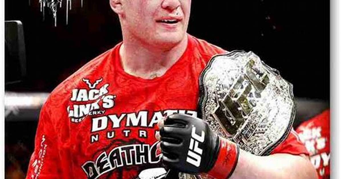 The Ultimate Guide to Luke Lesnar Ufc Star and Wwe