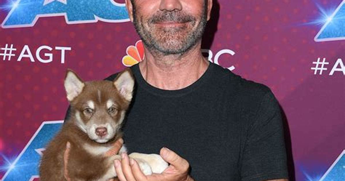 The Ultimate Guide to Simon Cowell's Son: Eric Cowell