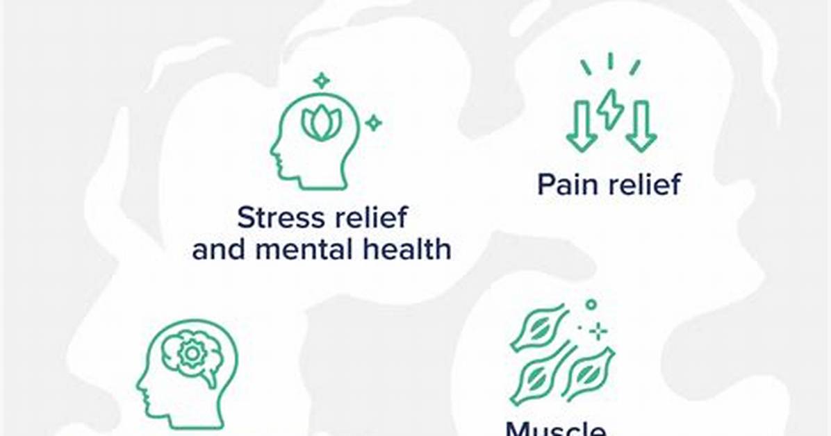 The Ultimate Guide to Suana: Benefits, Techniques, and More
