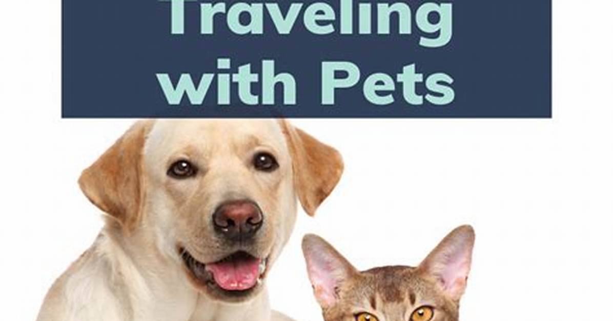 The Ultimate Pet Driver Guide: Your Companion on the Road