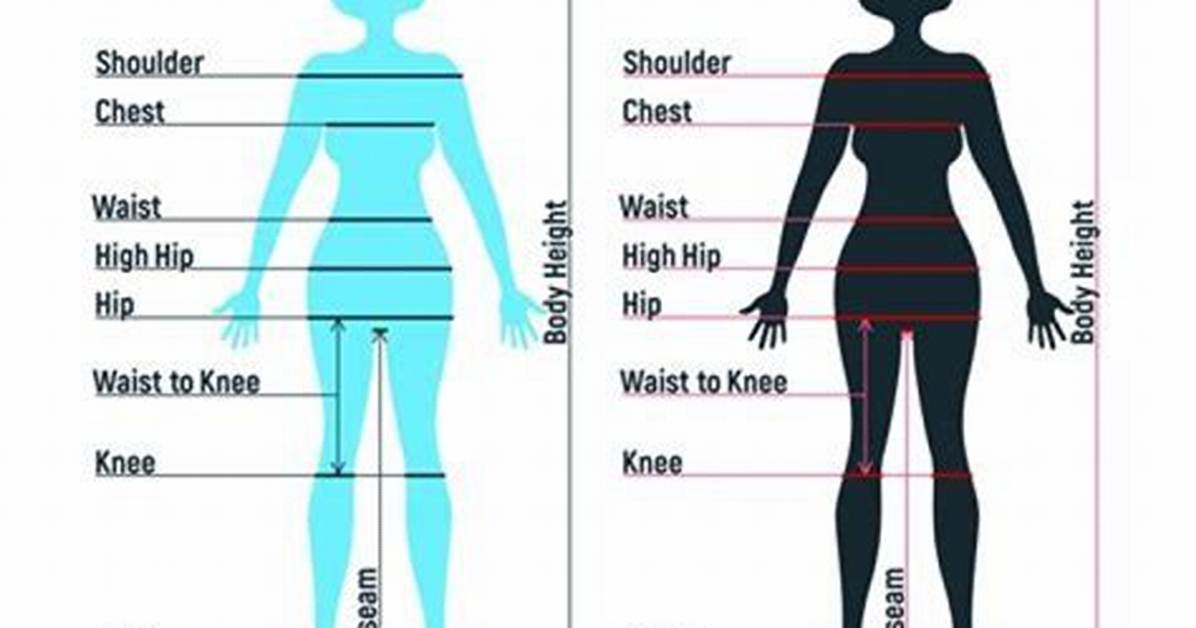 The Unmissable Guide to Tyla Waist Measurements: Ultimate Guide