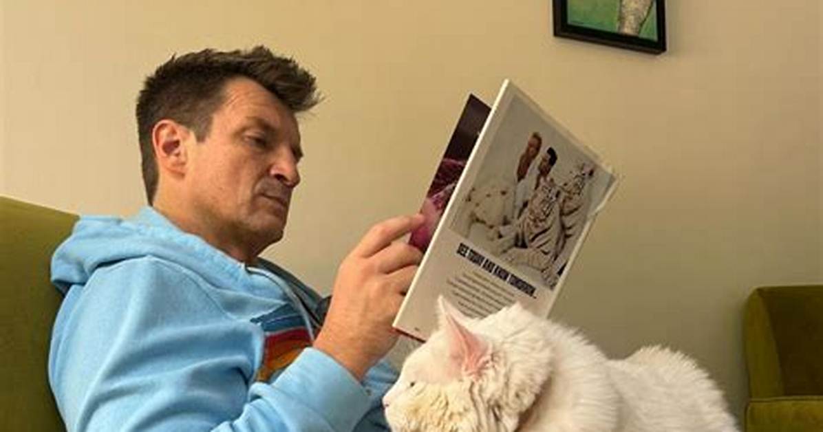 The Unveiled Private Life of Nathan Fillion