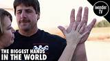 The World's Biggest Hand: a Marvel of Art and Engineering