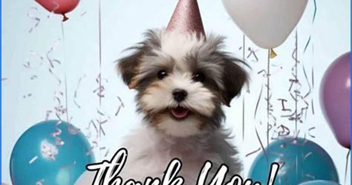 Thoughtful Quotes to Express Gratitude for Birthday Wishes a Guide Of