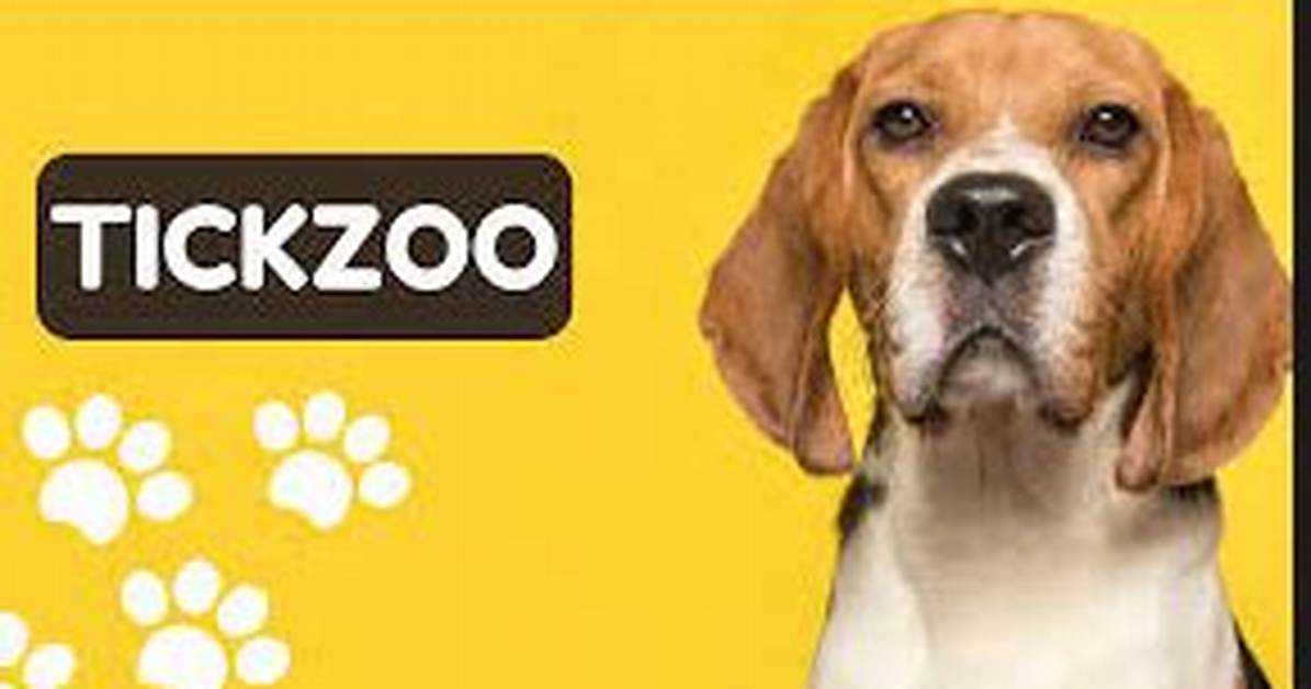 Tickzoo: Your Ultimate Guide to Exploring the World of Wildlife Conservation