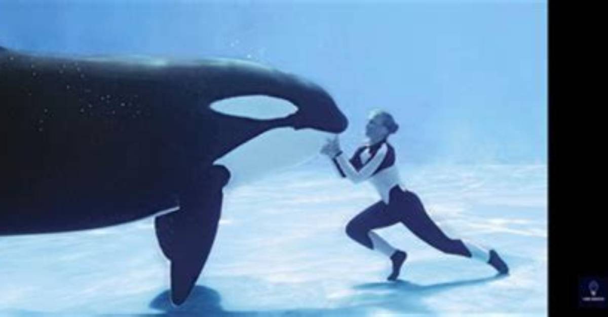 Tilikum Kills Dawn Leaked Footage Dawn