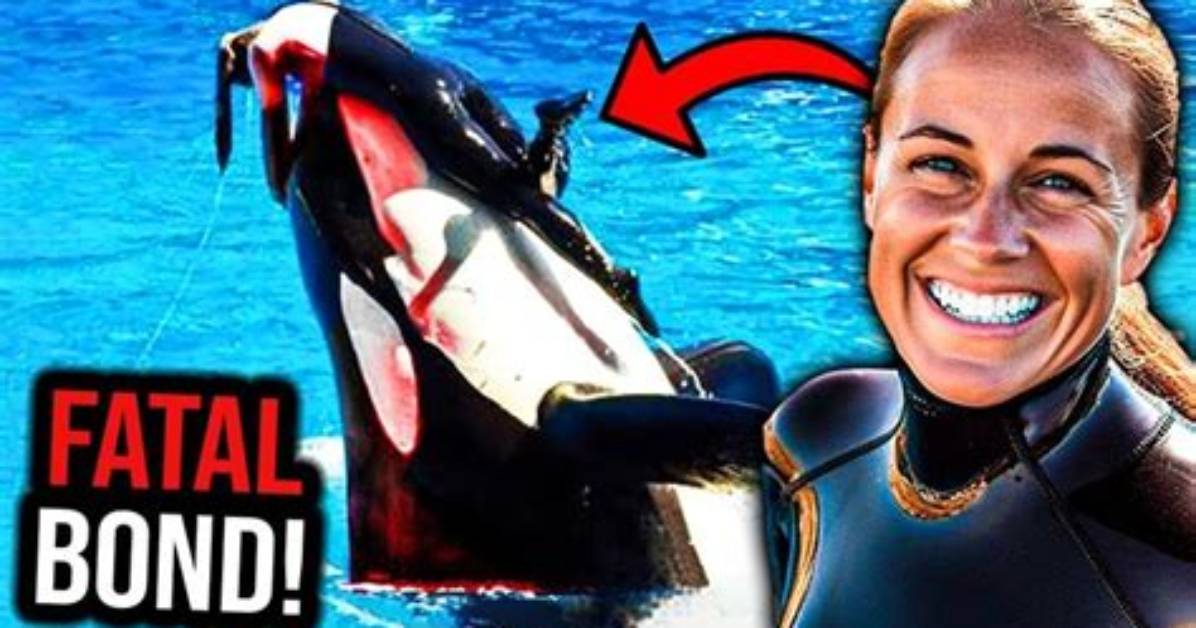 Tilikum Kills Dawn Leaked