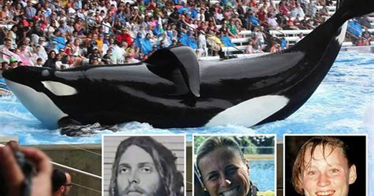 Tilikum Kills