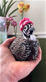 Tiny Texie: the Miniature Wonder Redefining Fashion and Style