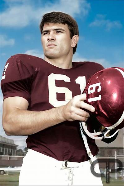 Tommy Lee Jones and His Impactful Football Movies