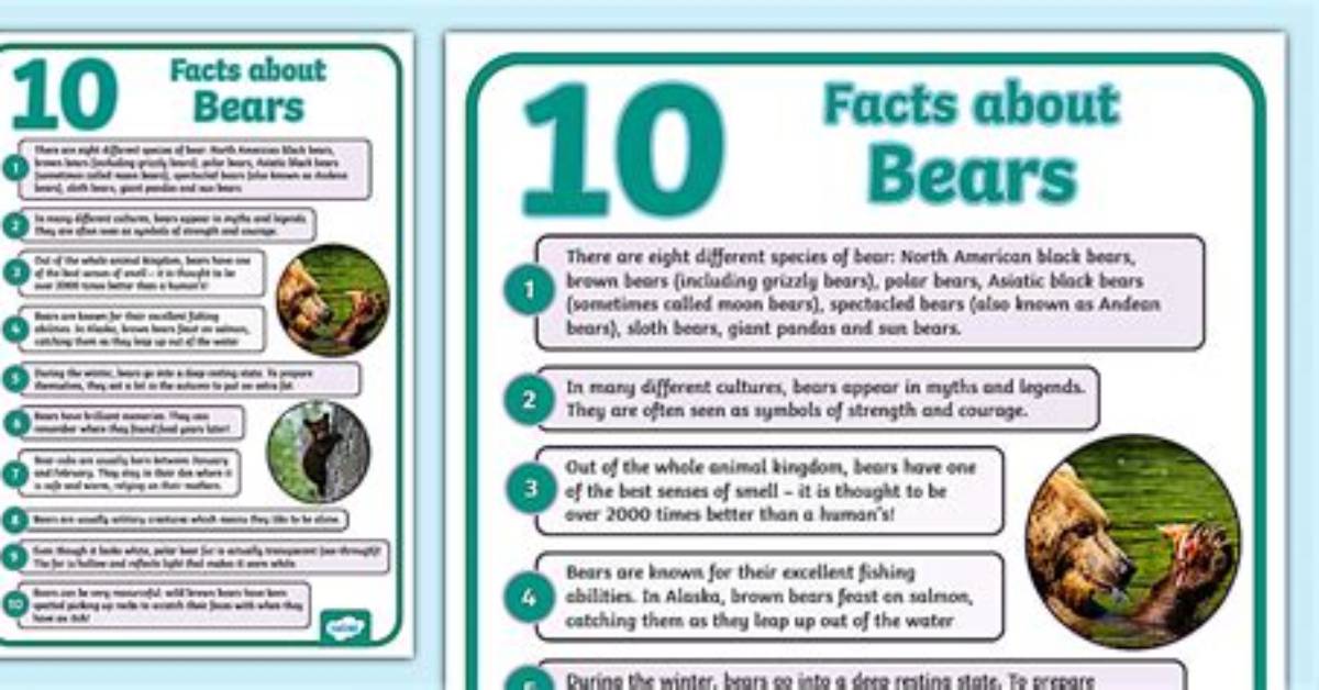 Top 10 Facts About