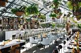 Top Brunch Places in Los Angeles: a Culinary Adventure