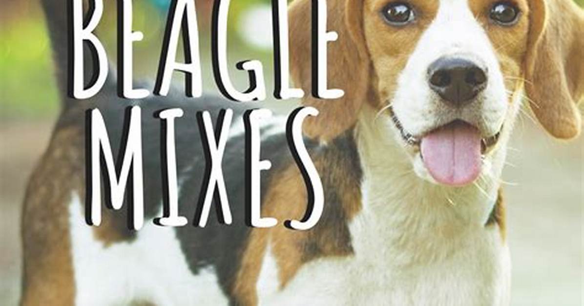 Top Rated John Beagle Your Ultimate Guide to the Iconic