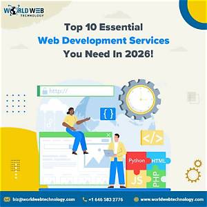 Top Website Developer Denver Services You Need to Know in 2024