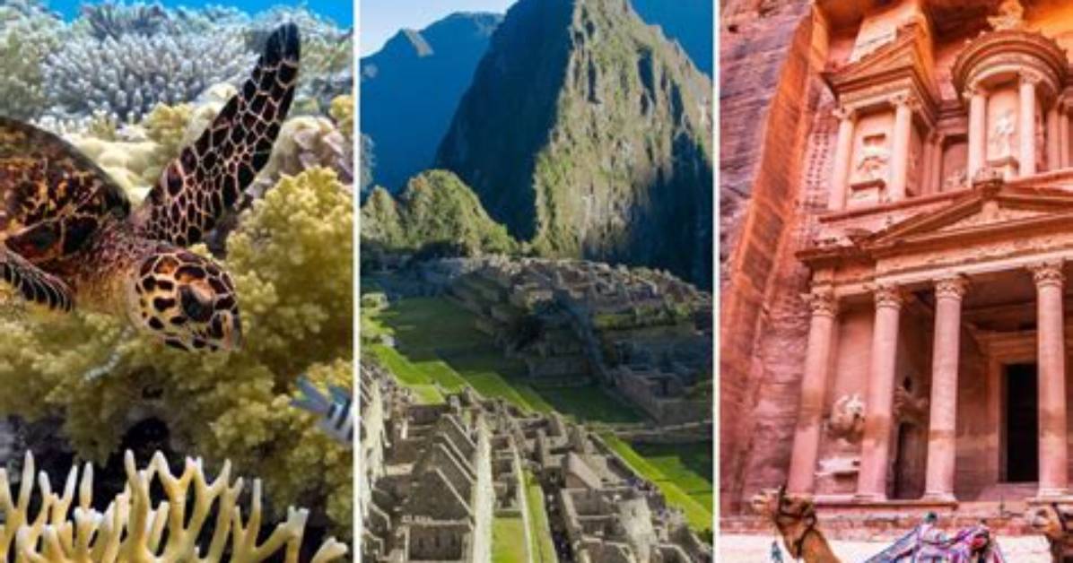 Top Xxmx Sites Videos: Explore Now for an Unforgettable Experience