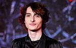 Tracing Finn Wolfhard's Roots: Uncovering His Parents, Eric And