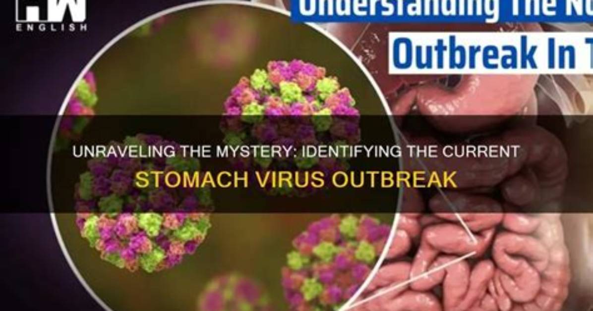 Track the Stomach Virus Outbreak: Current Outbreak Map