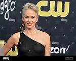 Traylor Howard: Latest News & Videos