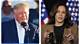Trump Calls Kamala Bitch: Analyzing the Controversy and Its Implications