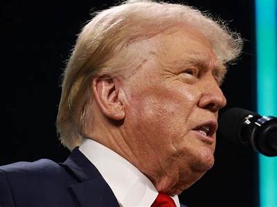 Trump's Ear Healed: a Comprehensive Look at the Recovery Journey