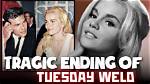 Tuesday Weld Today: Uncovering Her Private Life and Enduring Legacy