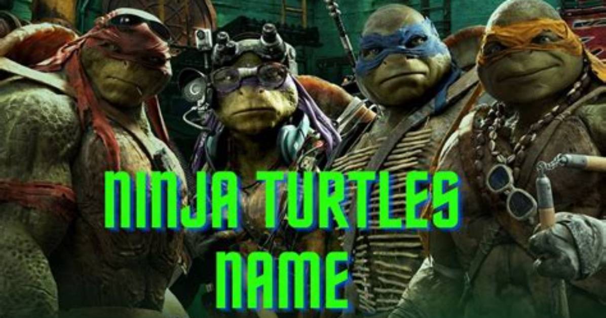 Turtle Ninja Names: a Comprehensive Guide to the Teenage Mutant Ninja Turtles