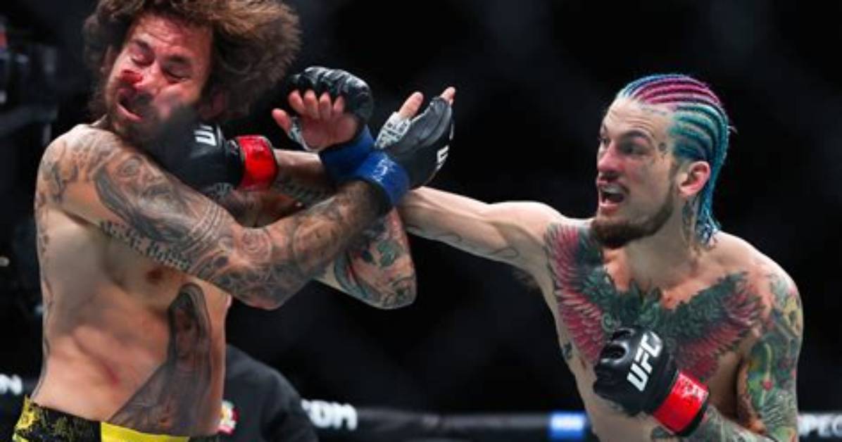Ufc Fight: When Is Sean O'malley's Next Fight?