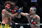 Ufc Fight: When Is Sean O'malley's Next Fight?