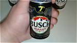 Ultimate Busch Bullet Review & Buying Guide