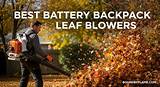 Ultimate Guide to Backpack Gas Leaf Blowers: Efficiency, Power, and Performance