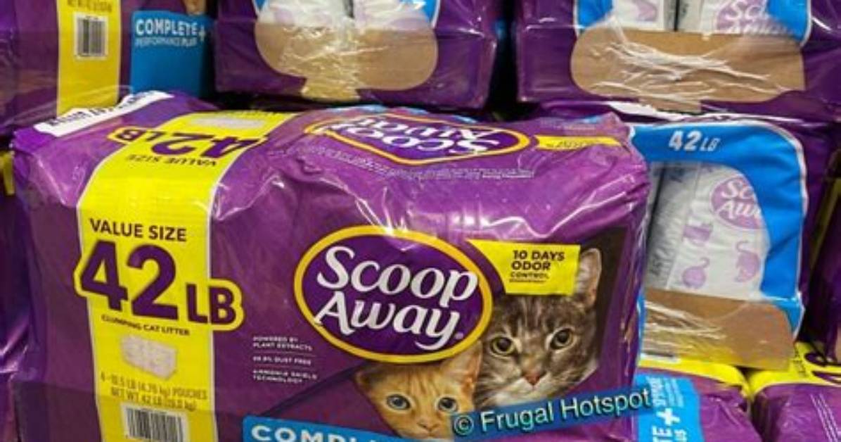 Ultimate Guide to Costco Cat Litter: the Best Choices for Your Feline Friend