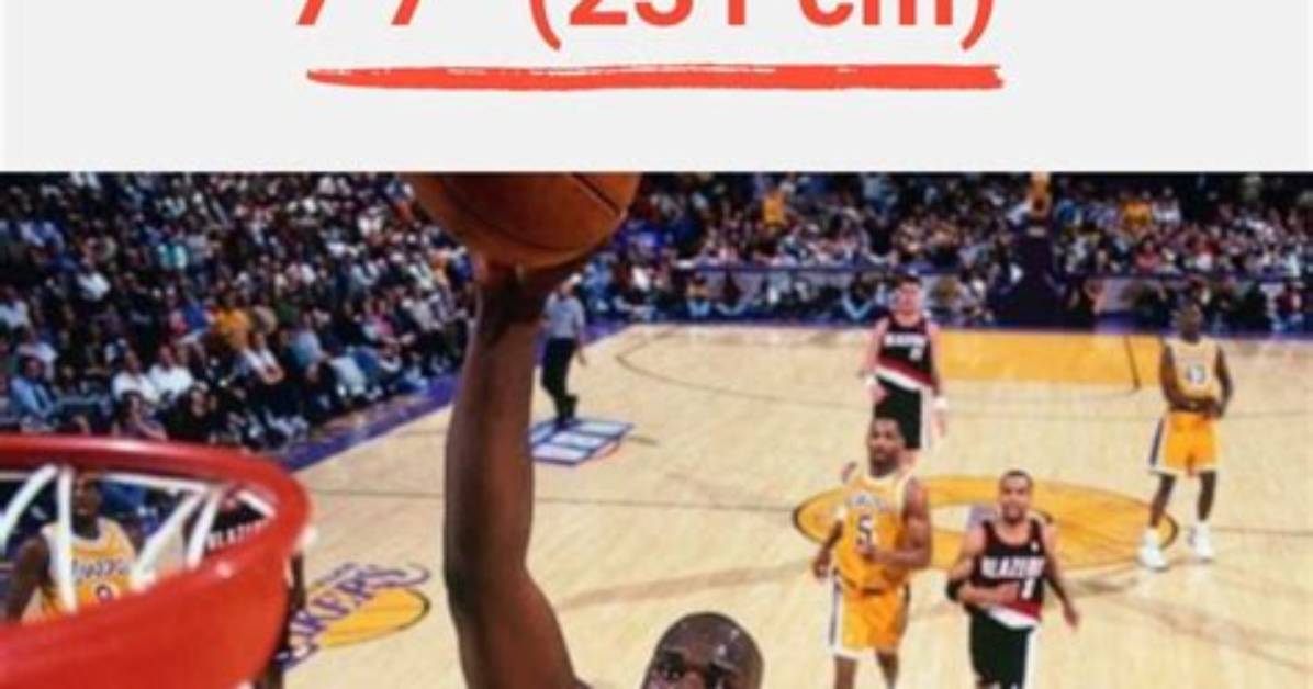 Unbelievable: Shaq's Enormous Wingspan and Its Impact on Basketball