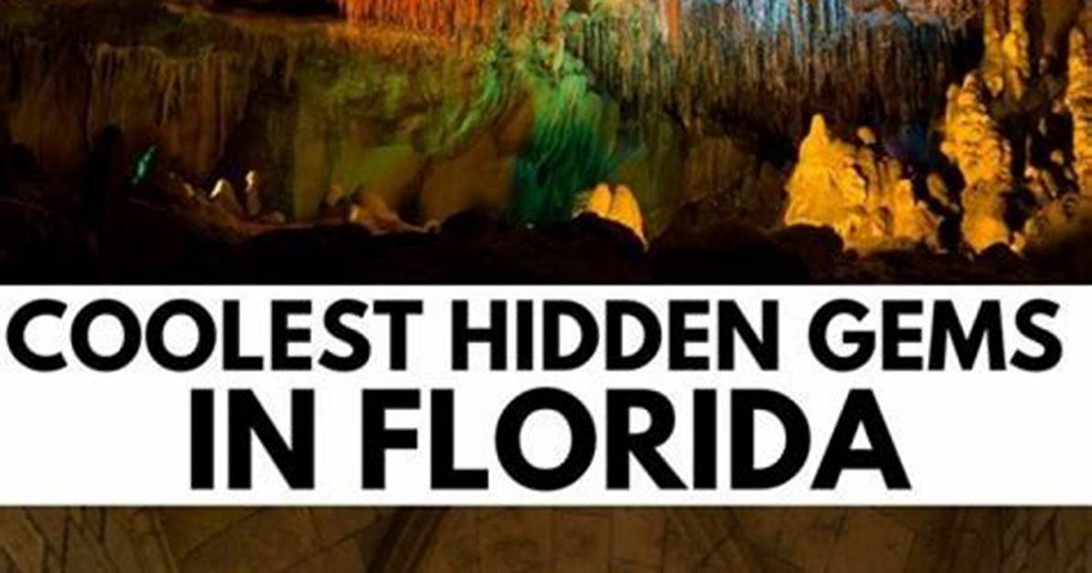 Uncover Hidden Gems and Inspiring Performances