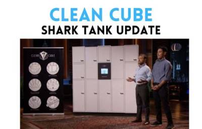 Uncover the Clean Cube Empire: Net Worth Revealed