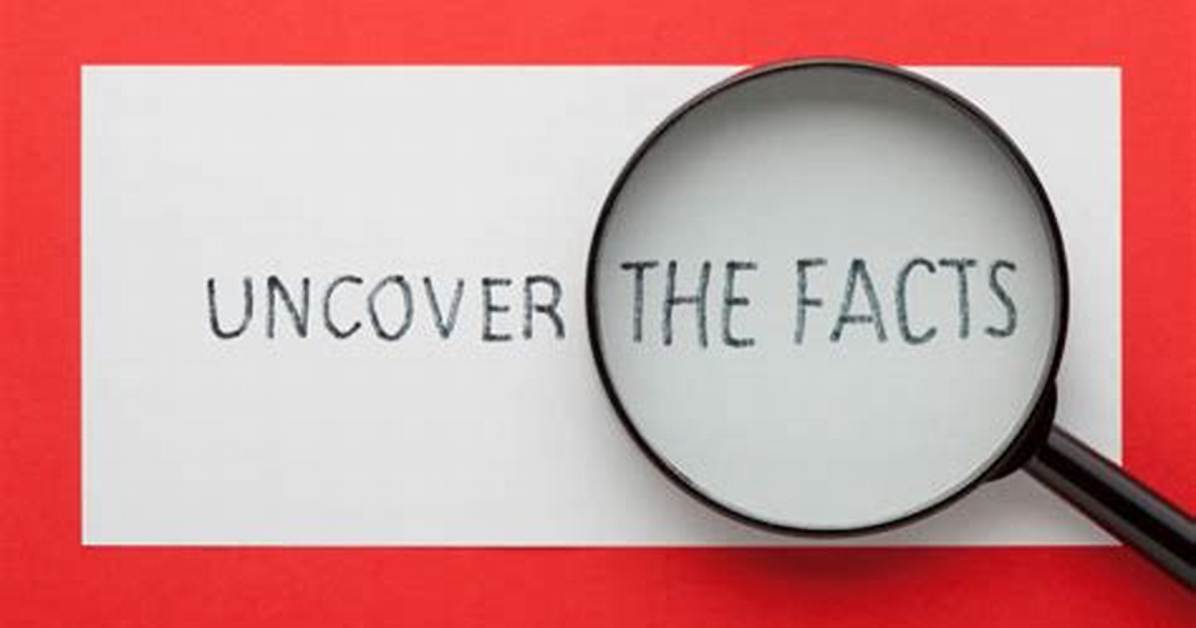 Uncover the Facts and Insights
