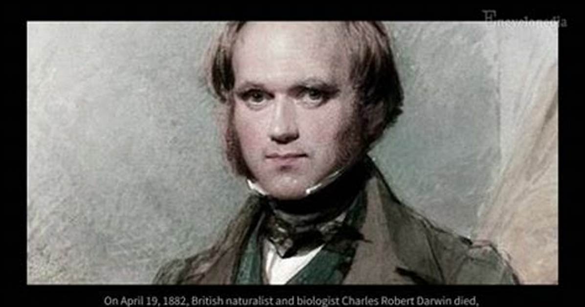Uncover the Identity of Darwin's Beloved: Who Was Darwin's Sweetheart?