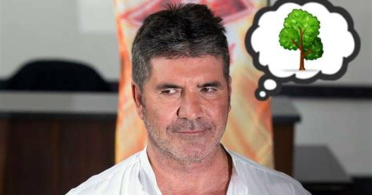 Uncovering Simon Cowell's Most Surprising Secrets