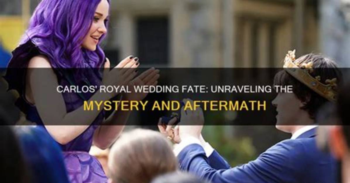 Uncovering the Mystery: the Fate and Aftermath of Jessica Turlov