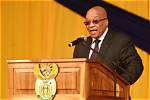 Uncovering Zuma's Wealth: Exploring the Former President's Net Worth