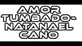 Understanding "Amor Tumbado" in English Translation: a Deep Dive into the Viral Mexican Song
