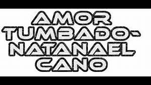 Understanding "Amor Tumbado" in English Translation: a Deep Dive into the Viral Mexican Song