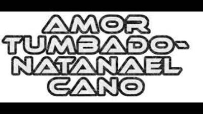 Understanding "Amor Tumbado" in English Translation: a Deep Dive into the Viral Mexican Song