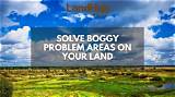Understanding Boggy Areas: Characteristics, Importance, and Conservation