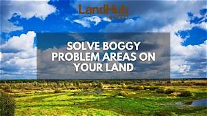 Understanding Boggy Areas: Characteristics, Importance, and Conservation