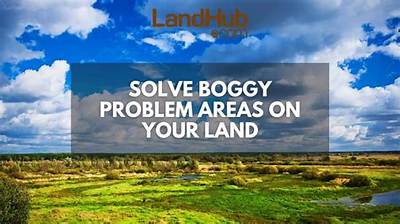 Understanding Boggy Areas: Characteristics, Importance, and Conservation