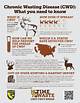 Understanding Cwd Waste: a Comprehensive Guide